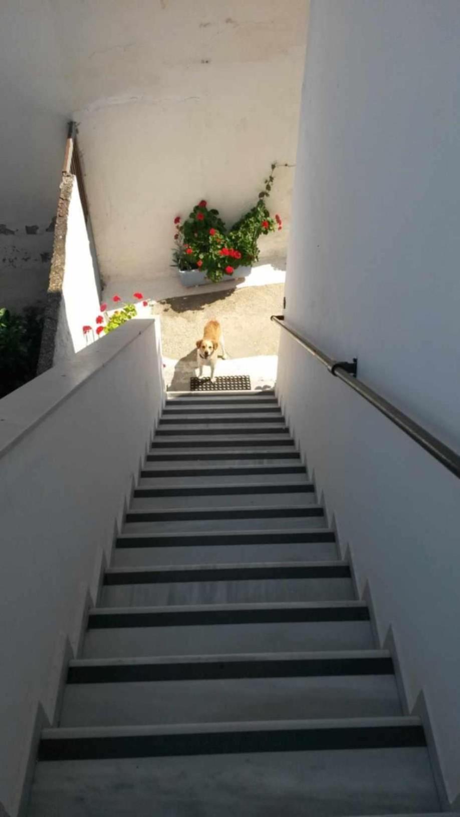 Kostas Studios Apartments - Ενοικιαζόμενα Δωμάτια Με Κουζινάκι Myrina Exterior foto